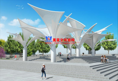 新年開門紅：中標東莞市東江西岸景觀改造工程之鋼拉膜購置項目